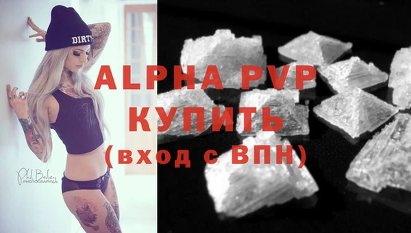 индика Балахна