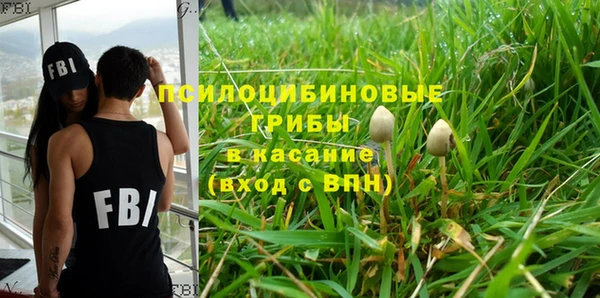 дживик Баксан