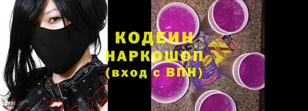 индика Балахна