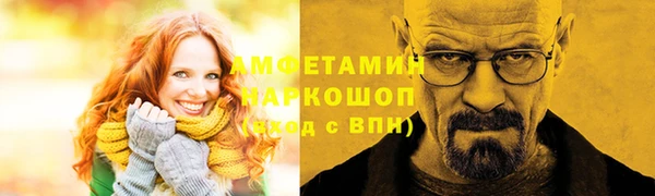 индика Балахна