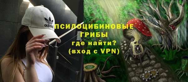 дживик Баксан