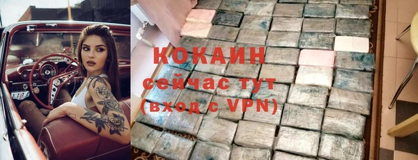 индика Балахна