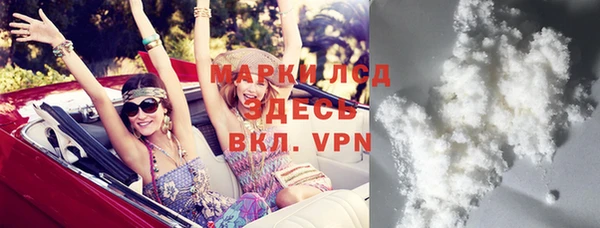 индика Балахна