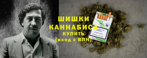 индика Балахна
